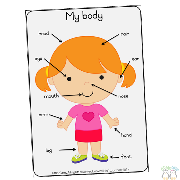 This is my body. My body девочка. Карточки по теме my body. Body Parts. Body Parts for Kids.