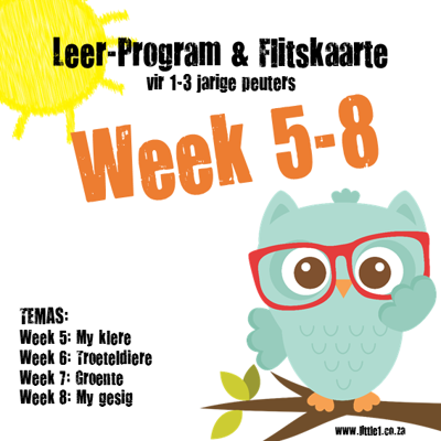 Picture of Leer Program & Flitskaarte - Week 5-8
