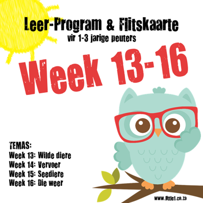 Picture of Leer Program & Flitskaarte - Week 13-16