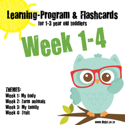 Picture of Learning Program & Flashcards Week 1-4 {TRIAL}