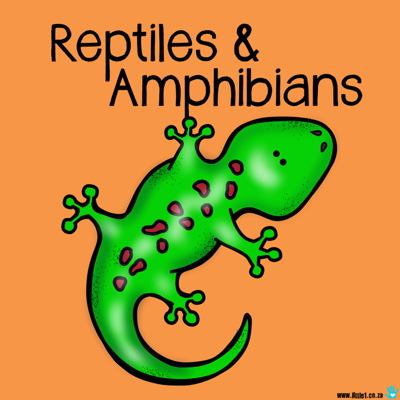 Picture of Theme Activity Book (20) - Reptiles & Amphibians